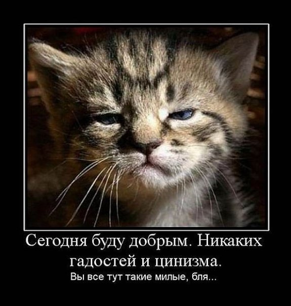 http://cs9894.vkontakte.ru/u4684751/116934863/x_8b9213c5.jpg